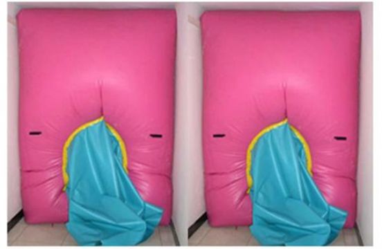 點(diǎn)擊查看詳細(xì)信息<br>標(biāo)題：快速封堵氣囊 閱讀次數(shù)：2800