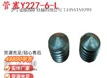 點(diǎn)擊查看詳細(xì)信息<br>標(biāo)題：英格索蘭隔膜泵配件管塞Y227-6-L 閱讀次數(shù)：396