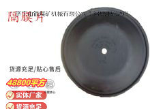 點(diǎn)擊查看詳細(xì)信息<br>標(biāo)題：氣動隔膜泵配件-隔膜片 閱讀次數(shù)：322
