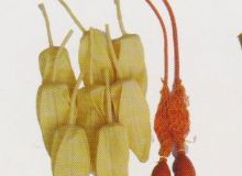 點擊查看詳細信息<br>標題：取氣樣球膽 閱讀次數(shù)：276